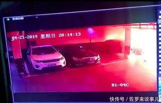上海爆料视频在线观看,揭秘城市生活背后真相  第2张