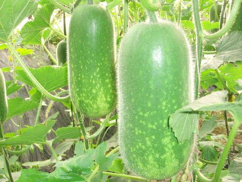 娱乐吃瓜壁纸高清竖屏,一网打尽娱乐圈新鲜事  第2张